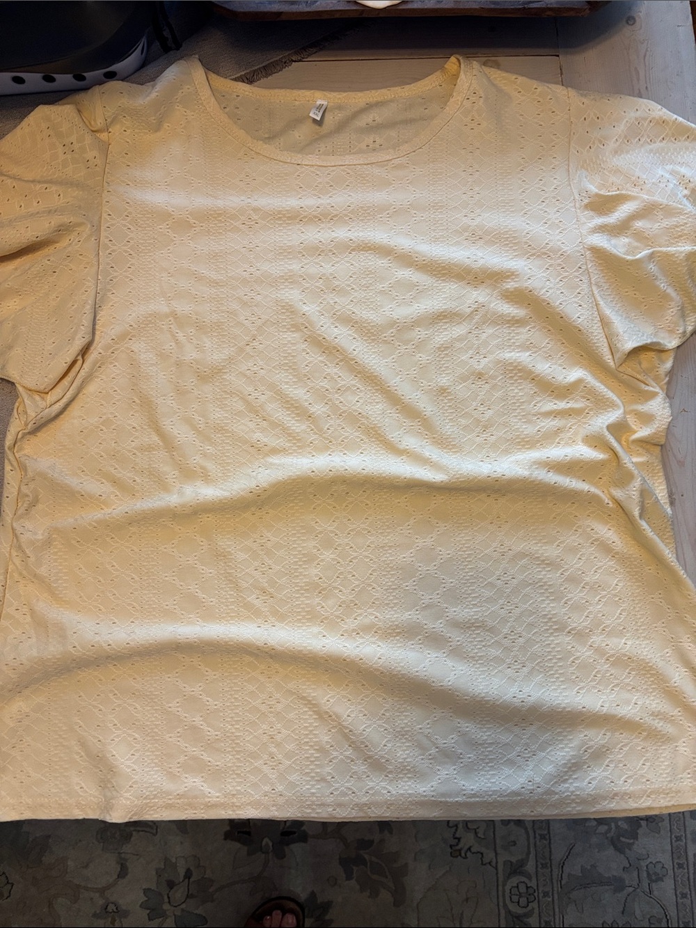 Beautiful Women's Eyelet Short flutter Sleeve Top - Light Yellow size XXL